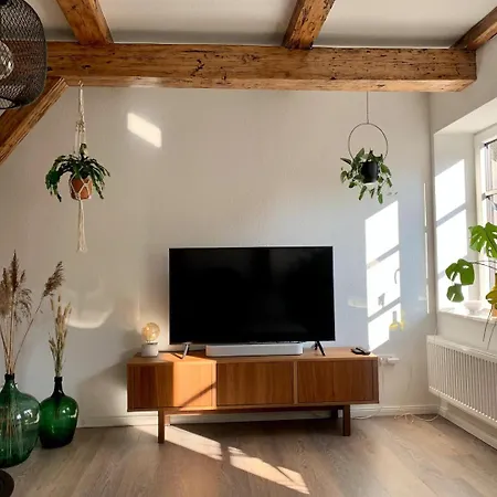 Tatil Evi Alte Toepferei Friedrichstadt